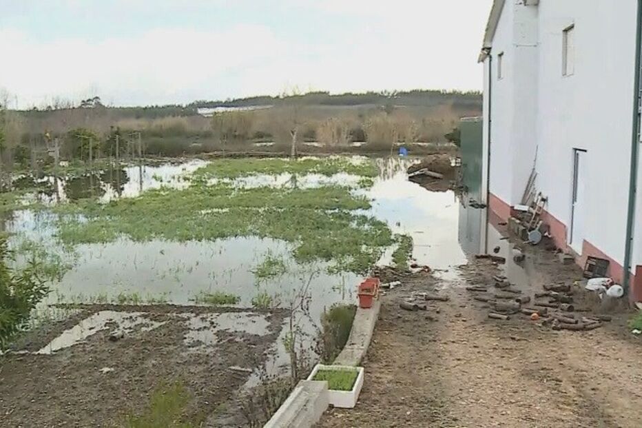 cheias, Estrada Nacional 341 e 347, Alfarelos