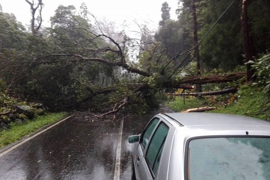 Flores, Açores, mau tempo, comunicações, rede, internet