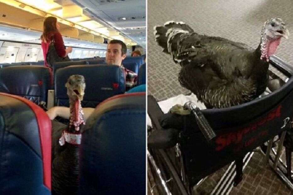 12-01-2016_23_15_04 peru.jpg