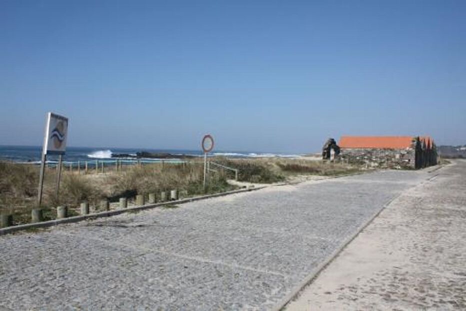 Cães, animais, maus-tratos, Viana do Castelo, Nelas, Carreço, Selva dos Animais Domésticos de Caminha