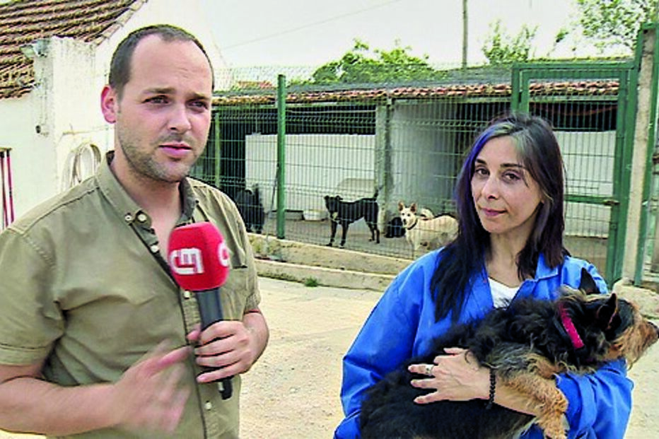 CMTV, Correio da Manhã, NOS, MEO