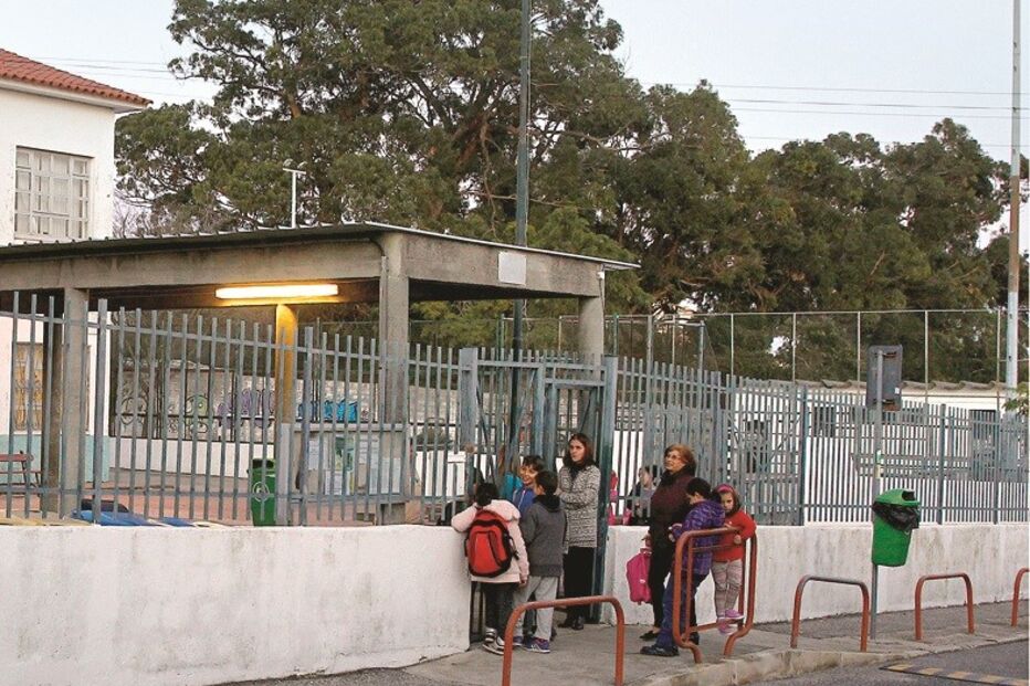 ratos, Escola Básica Quinta das Dálias, pulgas, crianças, Odivelas, veneno 