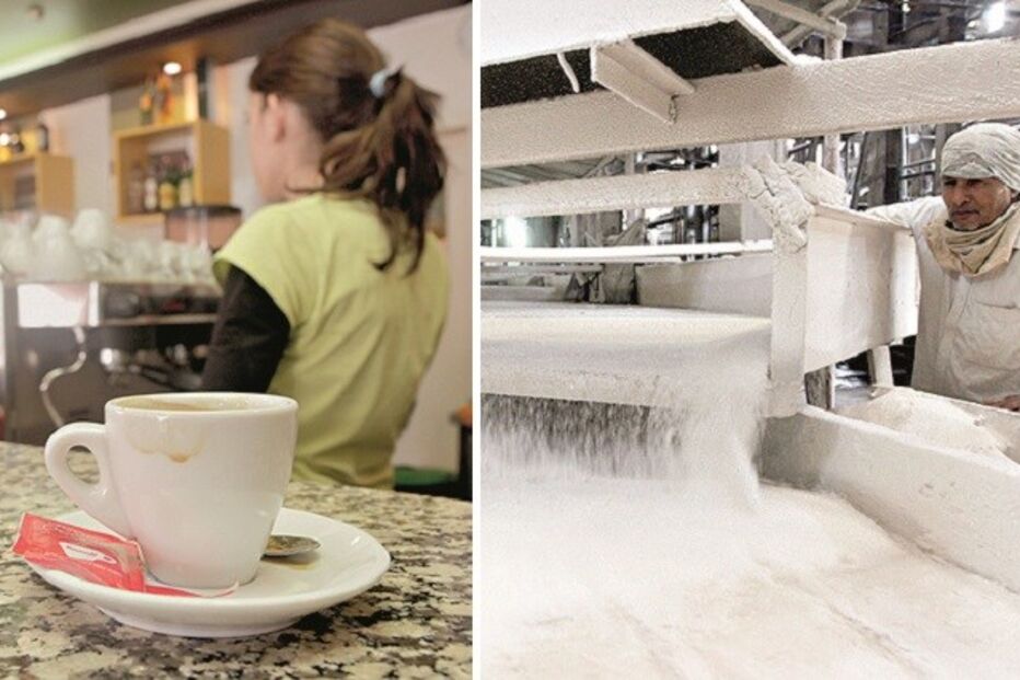 Saúde, DGS, Governo, Pedro Graça, Programa Nacional de Alimentação Saudável, alimentação, açucar