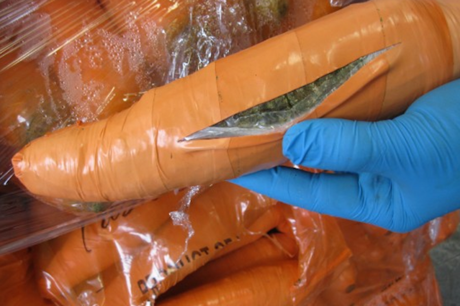 15-01-2016_13_56_06 cenouras.jpg