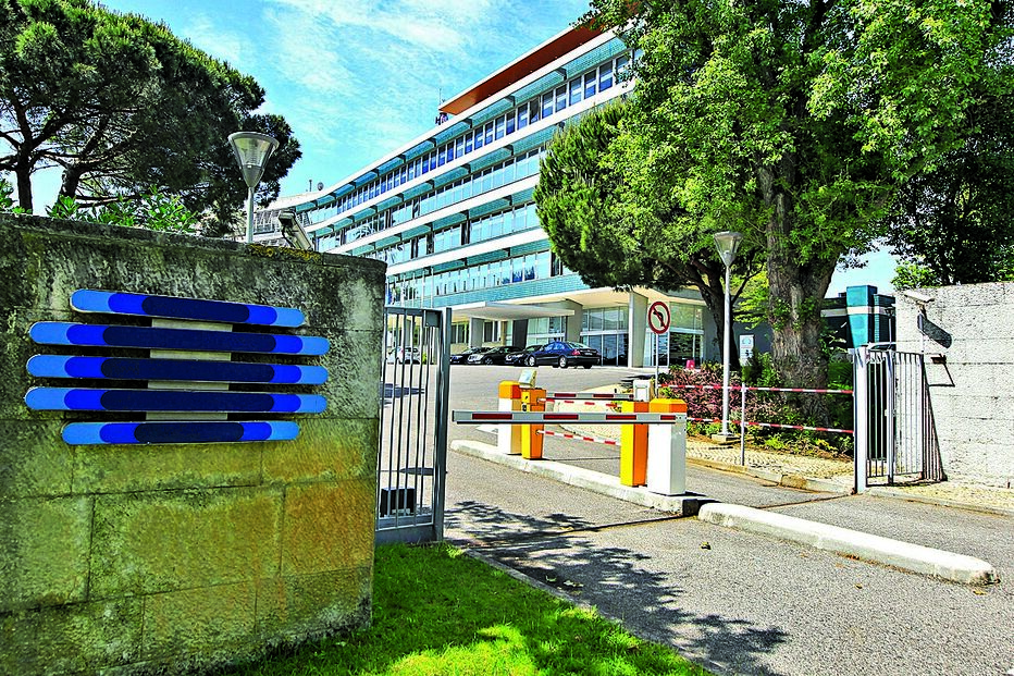 RTP, frota automóvel, Gonçalo Reis, Lease Plan, Grupo público de rádio e televisão