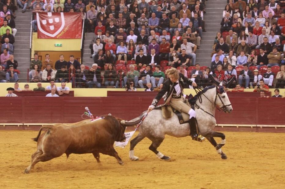 18-01-2016_18_23_55 joaodinis.jpg