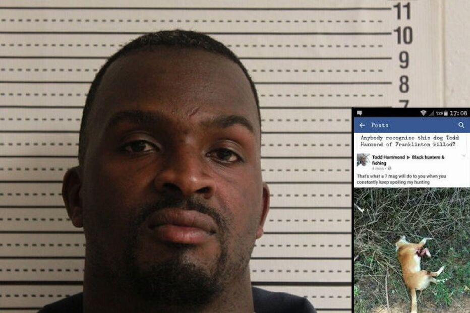 Cão, maus-tratos, animais, caça, Facebook, Todd Hammond, EUA, Estados Unidos, Tylerville, Louisiana, xerife, foto viral