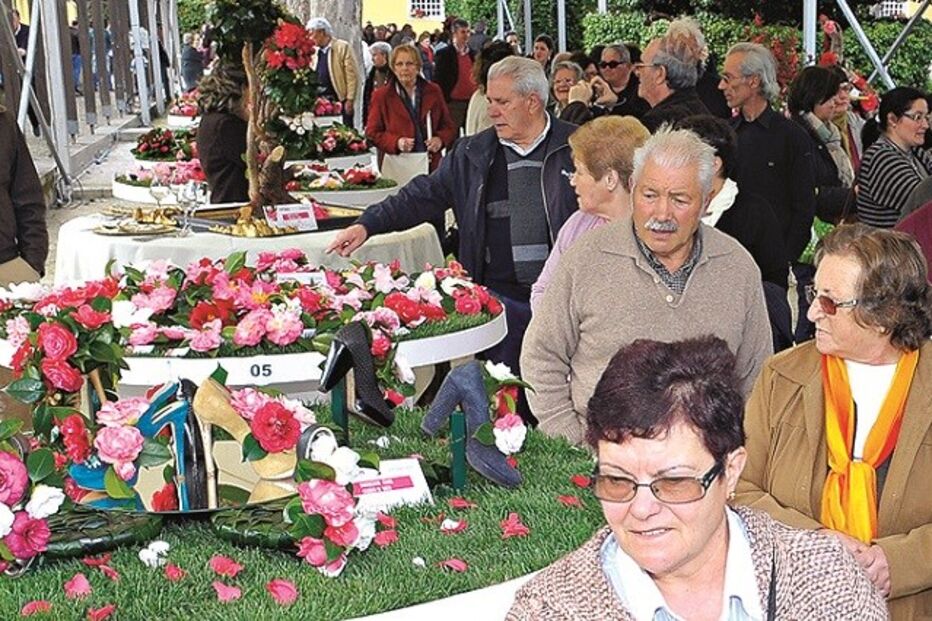 20-01-2016_06_26_46 21 camélia.jpg