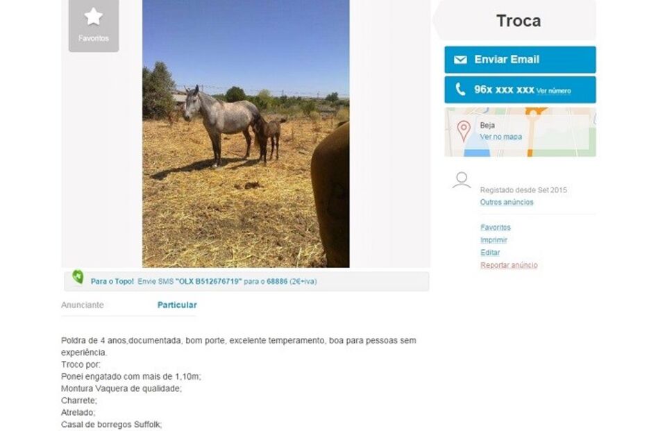 20-01-2016_15_09_04 burrp.jpg