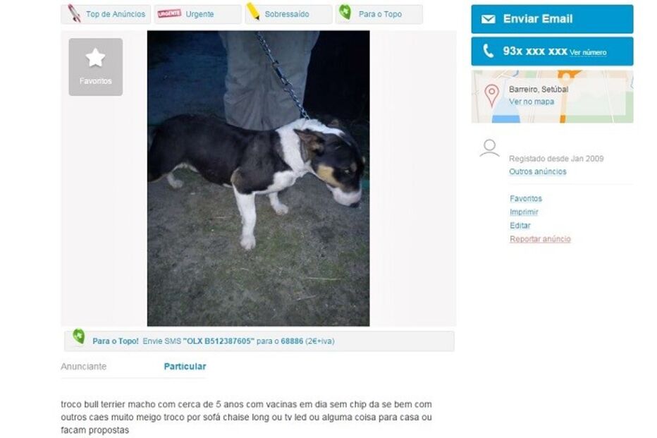 20-01-2016_15_09_06 caaa.jpg