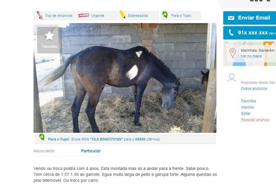 20-01-2016_15_09_07 carro 2.jpg