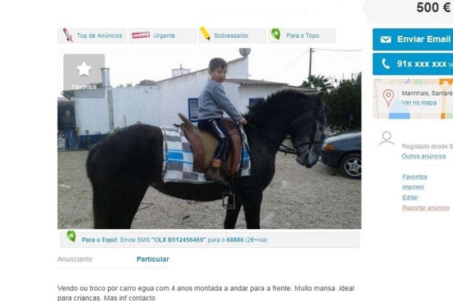 20-01-2016_15_09_08 carro.jpg