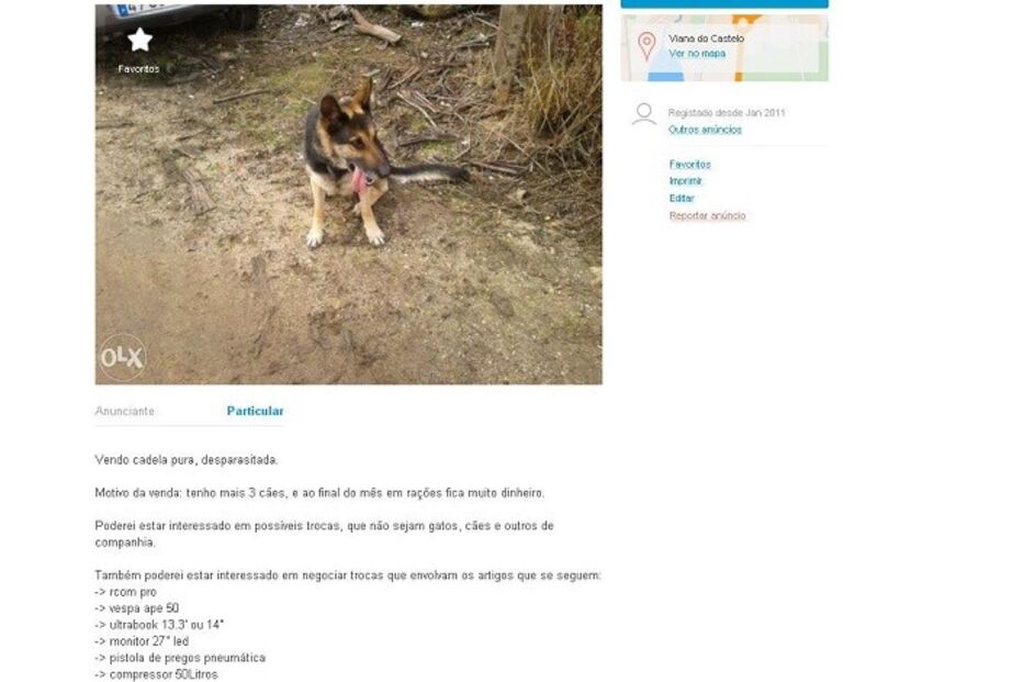 20-01-2016_15_09_10 pastora.jpg