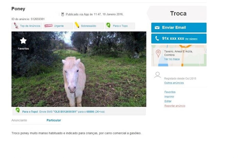 20-01-2016_15_09_13 ponei.jpg