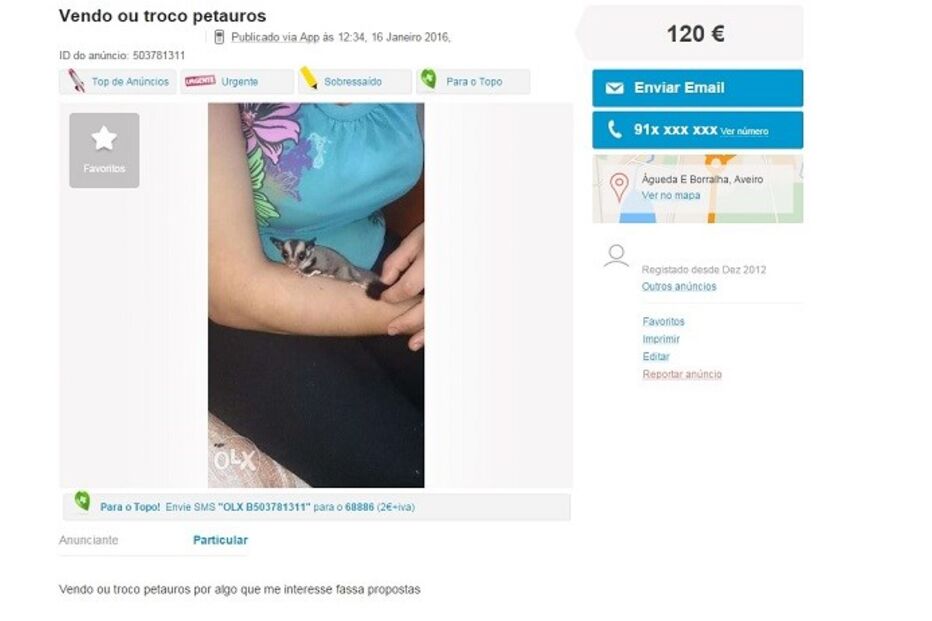 20-01-2016_15_09_17 Untditled.jpg