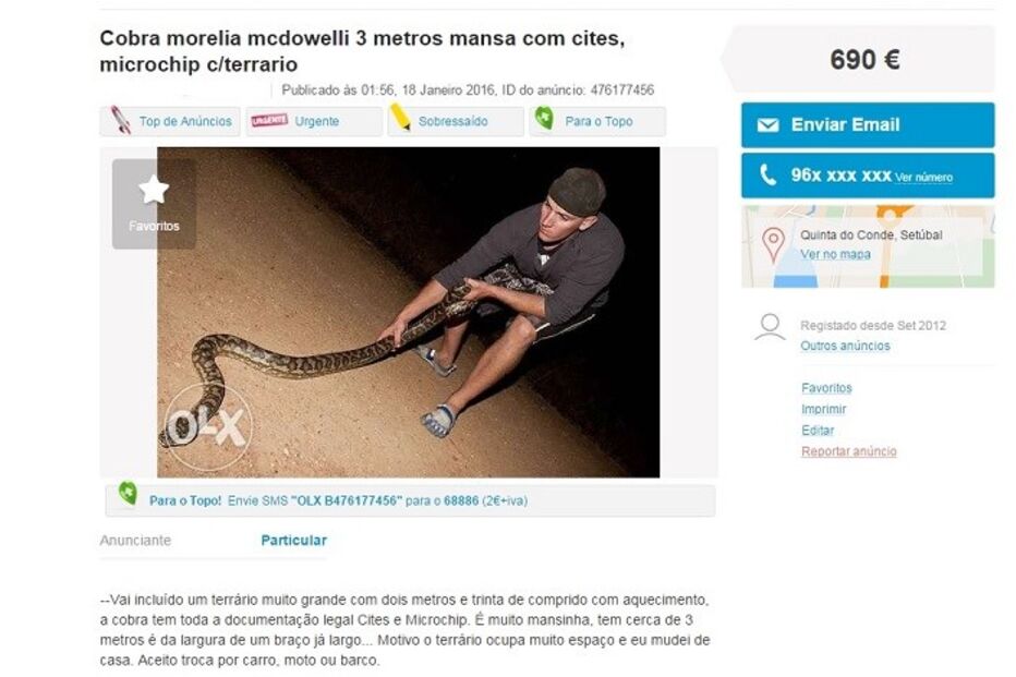 20-01-2016_15_09_18 Untitled.jpg