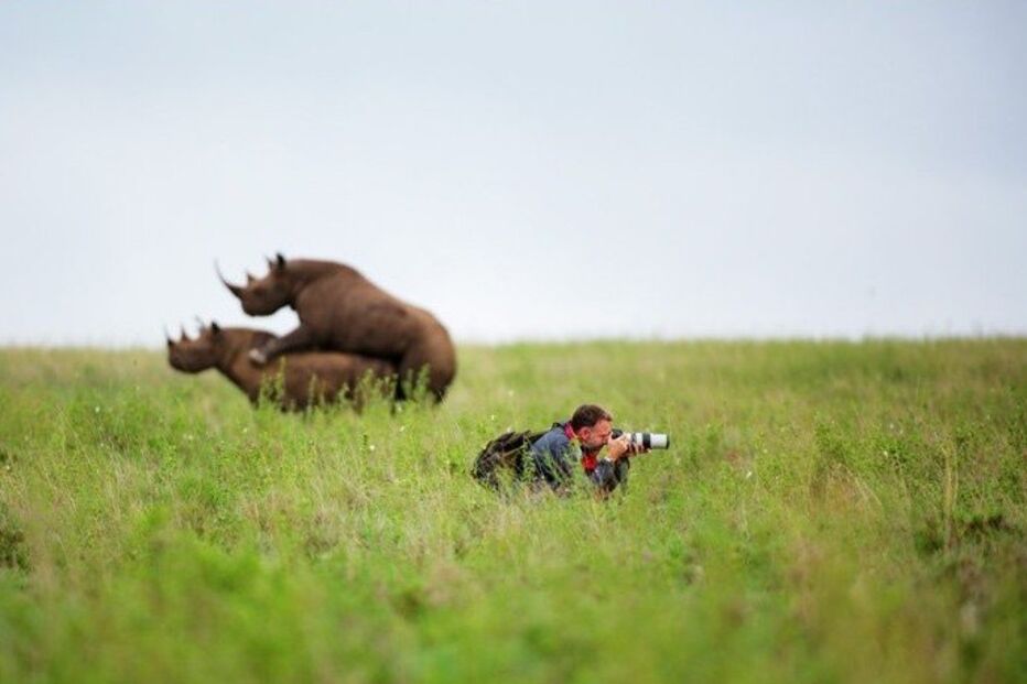 Rinocerontes, imagem, foto, fotógrafo, insólito, Greg Armfield, Parque Nacional de Nairóbi, Quénia