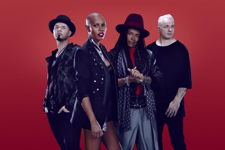 24-01-2016_19_48_41 skunk.jpg