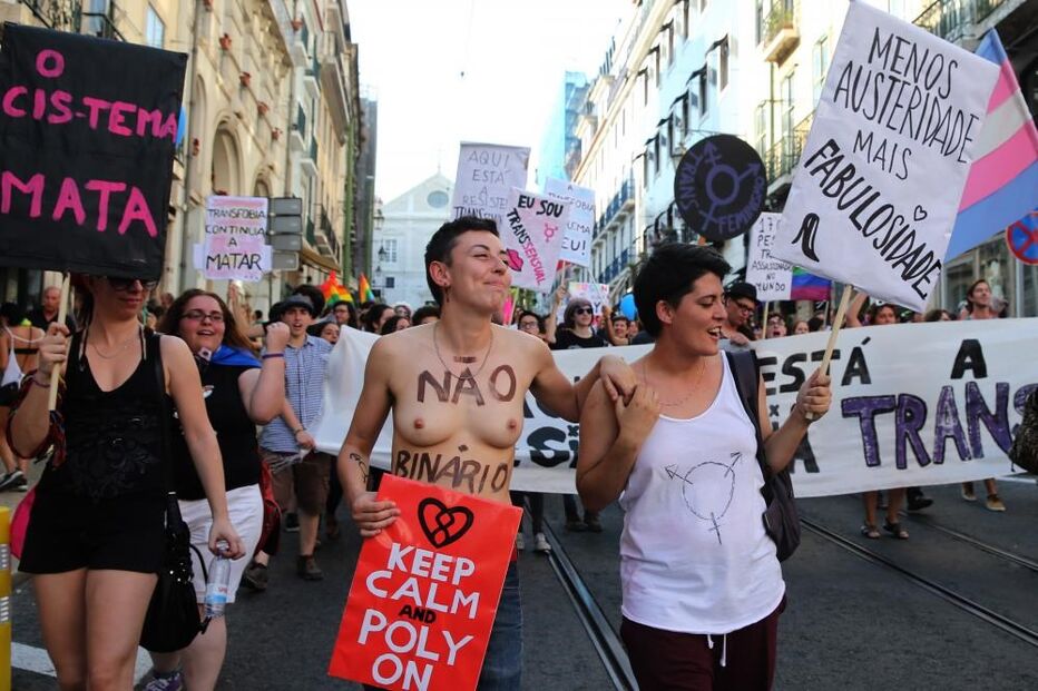 mudança de sexo, Associação ILGA Portugal, Nuno Pinto, Eduardo Cabrita, Catarina Marcelino, Lei da Identidade de Género, Governo