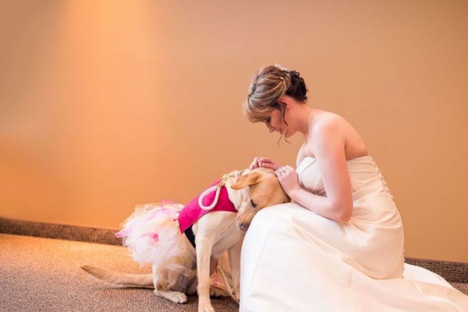 cadela, ansiedade, casamento, terapia, noiva