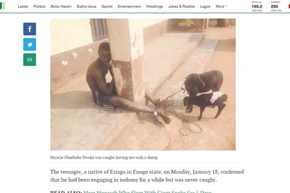 sexo, relações sexuais, ovelha, ovino, bestialismo, Miracle Oluebube Nweke, Nigéria, crime