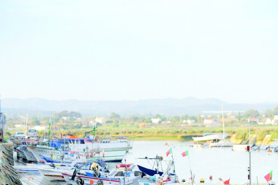 largo de Tavira, Governo, Área de Produção Aquícola, Leonardo Diogo, Associação de Armadores Pescadores de Tavira, Armona, Tavira, Olhão, fronteira, Espanha, Vila Real de Santo António, economia, negócios e finanças, agricultura e pescas, pescas, política