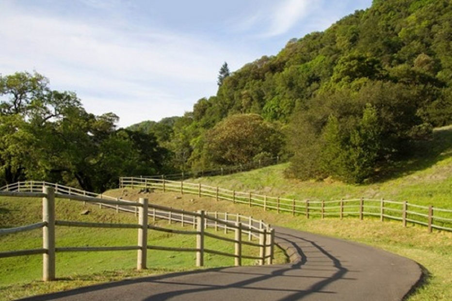 Robin Williams, Villa of Smiles