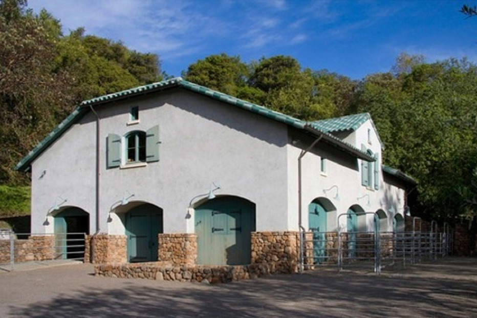 Robin Williams, Villa of Smiles