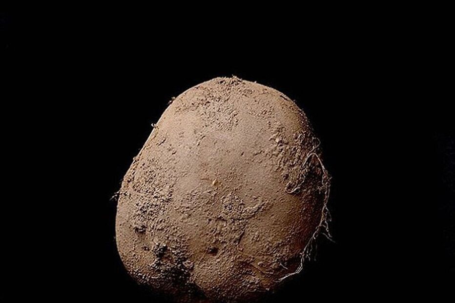 Batata, Kevin Abosch, fotografia, Reino Unido, Irlanda