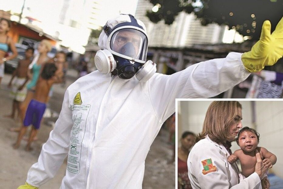 epidemia, Zika, Brasil
