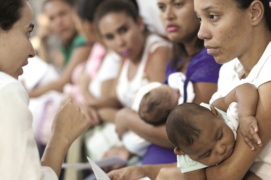 Organização Mundial de Saúde, OMS, Genebra, Suíça, Brasil, América Latina, Margaret Chan, Aedes Aegypti, saúde, vírus, Zika