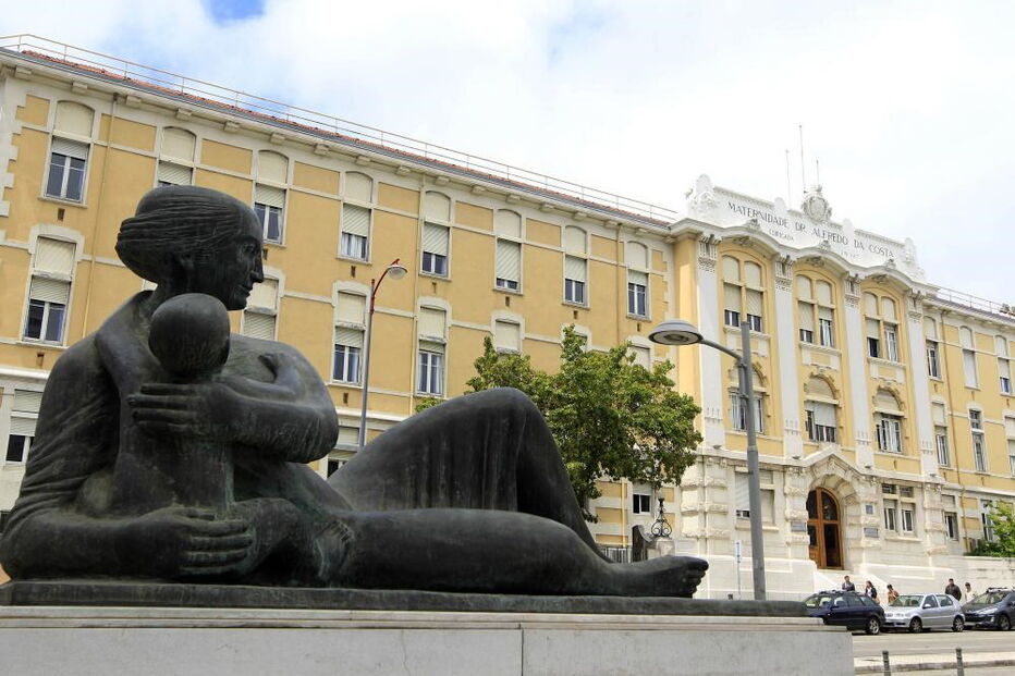Maternidade Alfredo da Costa, MAC, Tribunal Central Administrativo do Sul, Adalberto Campos Fernandes, Centro Hospitalar de Lisboa Central, Ricardo Sá Fernandes, política, saúde