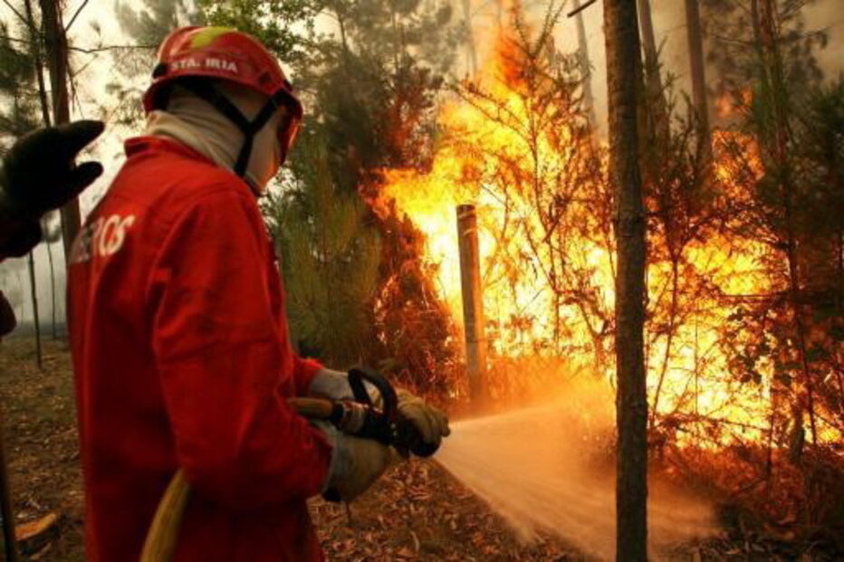 Liga dos Bombeiros Portugueses, LBP, Tribunal de Contas, questões sociais