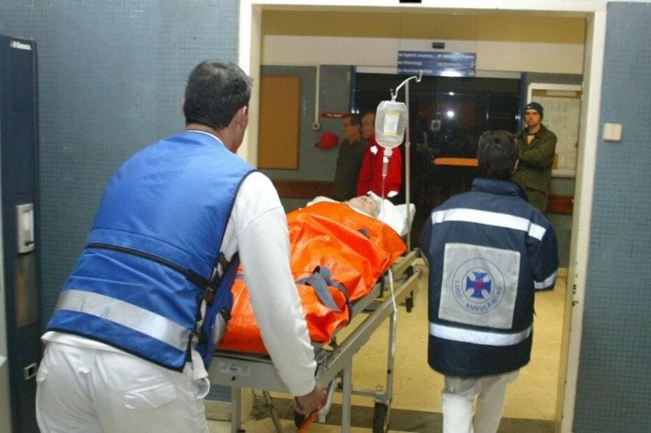 Santa Maria, São José, São Francisco Xavier, Garcia de Orta, Fernando Araújo, António Ferreira, Serviço Nacional de Saúde