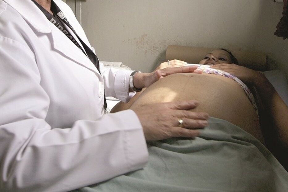 OMS, Gary Kobinger, Universidade da Pensilvânia, EUA, Coreia do Sul, Brasil, vacina, Zika, Vírus