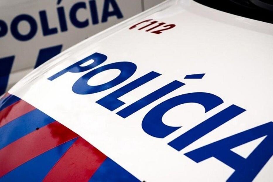 PSP, assalto, ladrão, Santarém