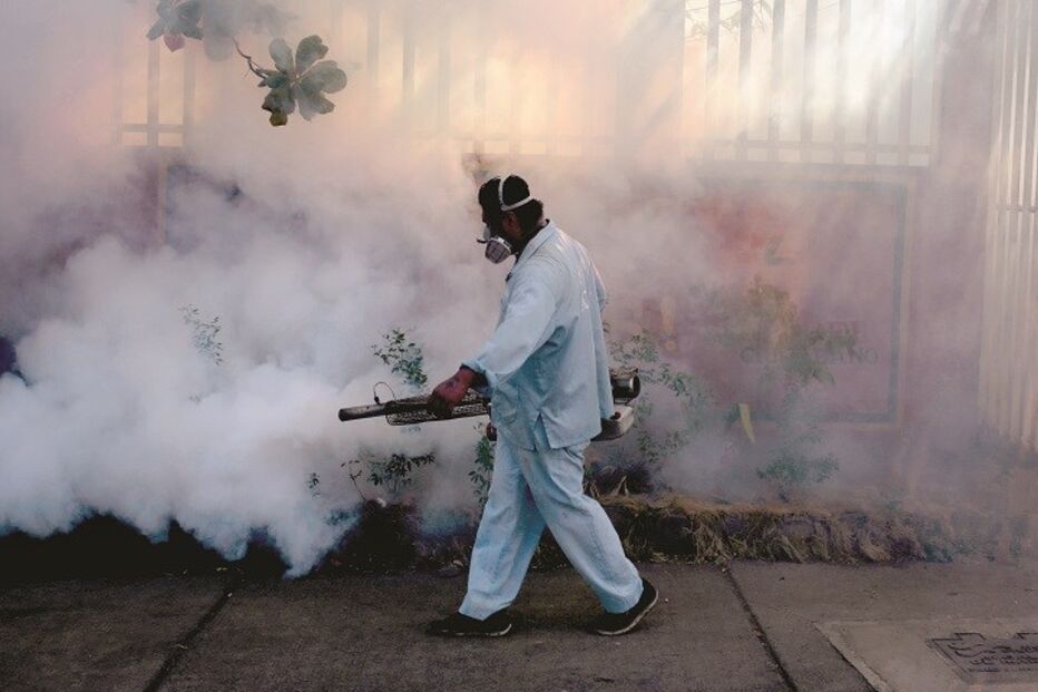 Fotorreportagem, mosquito, América, Canadá, Chile, Zika, vírus Zika, Brasil, bebés, microcefalia