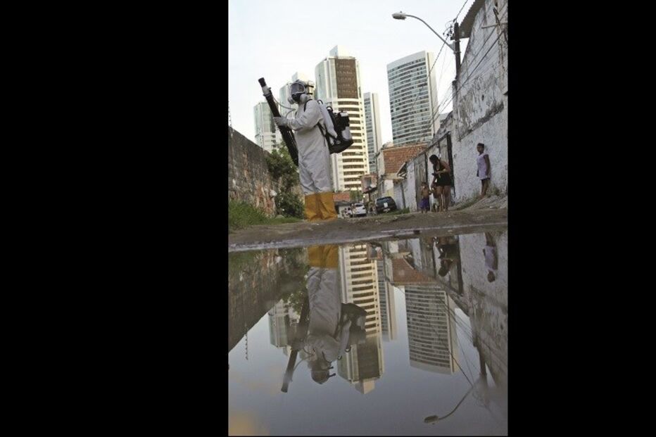 Fotorreportagem, mosquito, América, Canadá, Chile, Zika, vírus Zika, Brasil, bebés, microcefalia