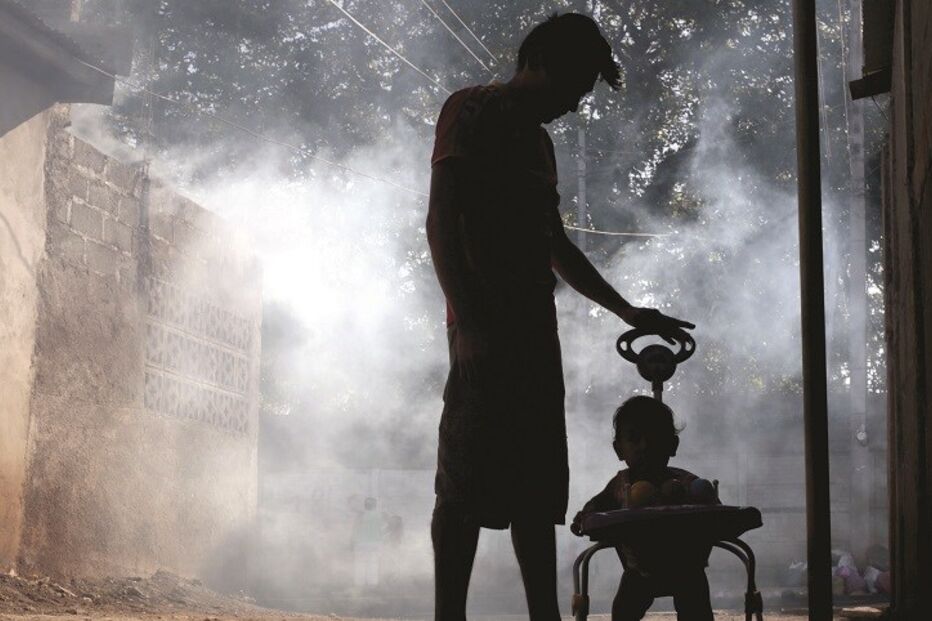 Fotorreportagem, mosquito, América, Canadá, Chile, Zika, vírus Zika, Brasil, bebés, microcefalia