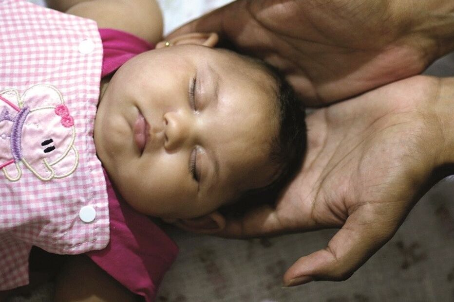 Fotorreportagem, mosquito, América, Canadá, Chile, Zika, vírus Zika, Brasil, bebés, microcefalia