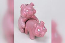 11-02-2016_18_22_26 porcos.jpg