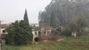 Casa de Rosa Ramalho está abandonada no meio das silvas