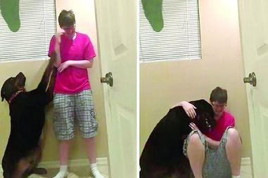 polícia, jovem, vídeo viral, cão, autista, Kayden, autolesão, transexual, Samson