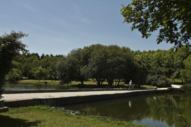 Parque da Cidade do Porto