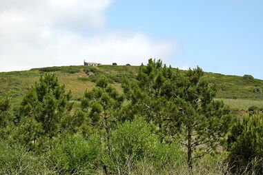 Reserva Ecológica de Oeiras "recortada" para construção 