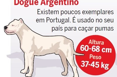 Conheça as raças de cães potencialmente perigosas
