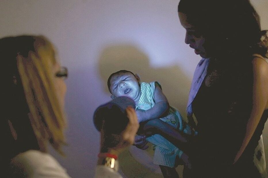 Organização Mundial de Saúde, OMS, Margaret Chan, Aedes Aegypti, Brasil, Colômbia, saúde, política, vírus, Zika