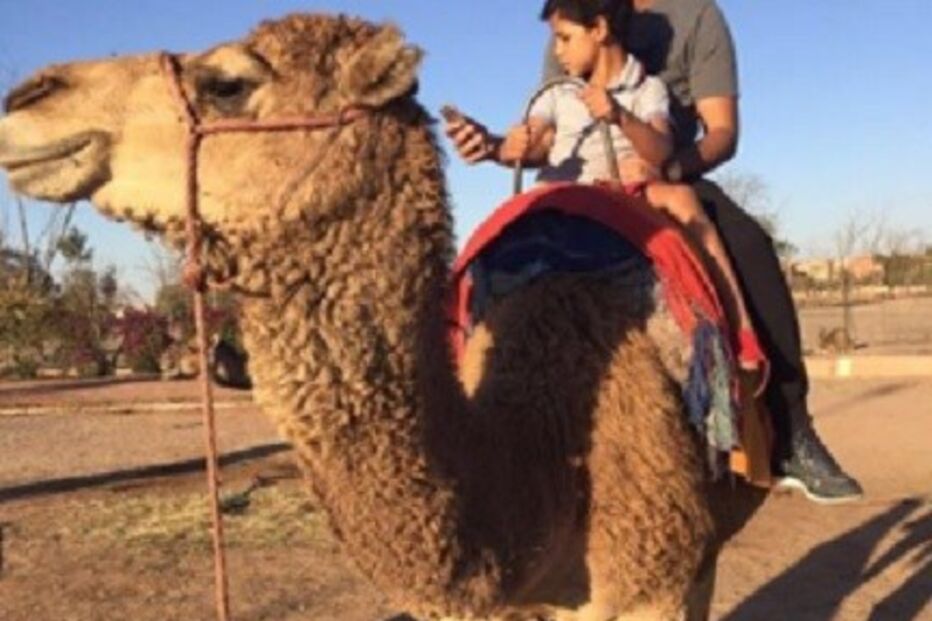 dolores aveiro, cristianinho