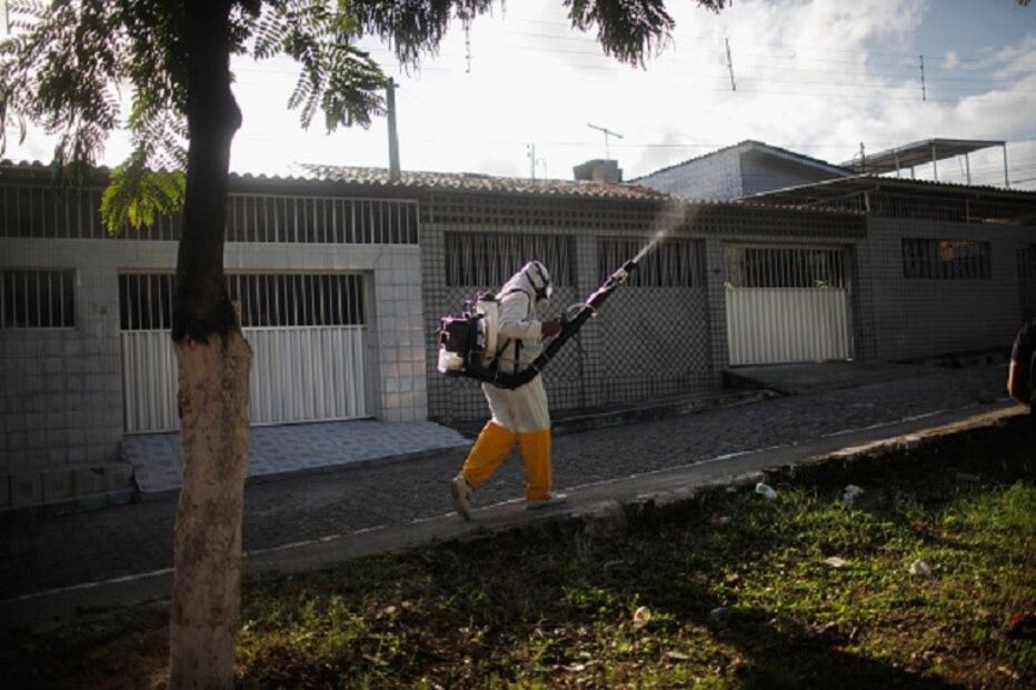 0Zika, Brasil, Ministério da Saúde, saúde, epidemias, pragas