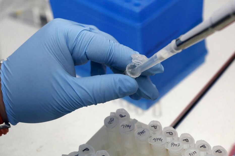 Colômbia, Zika, Juan Manuel Santos, Instituto Nacional de Saúde, saúde, doenças